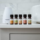 Tisserand Ginger Organic Pure Essential Oil 9ml image 3