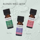 Tisserand Palmarosa Pure Essential Oil 9ml image 5