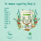 Naturopathica Vegan Life Daily Immune Multi Vitamin 30 Capsules image 4