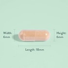 Holland & Barrett Pycnogenol 30mg 60 Capsules image 4