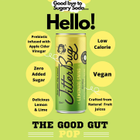 Jitterbug Lemonade Swing Sparkling Apple Cider Vinegar with 'The Mother' Drink 250ml image 2