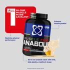 USN Muscle Fuel Anabolic Vanilla 2kg image 3