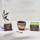 Four Sigmatic Instant Organic Coffee with Mushroom Chaga Extract 10 Sachets image 2
