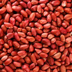 Holland & Barrett Redskin Peanuts 200g image 3