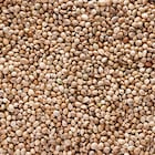 Holland & Barrett Roasted Hemp Seeds 200g image 3
