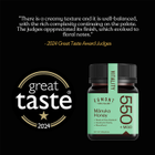 Egmont Honey Manuka Honey MGO 550+ 500g image 3