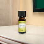 Miaroma Ylang Ylang Pure Essential Oil 10ml image 4