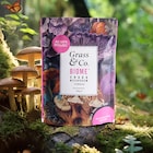 Grass & Co. BIOME Chaga Mushrooms Powder with Turmeric + Ginger 100g image 5