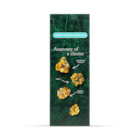 Holland & Barrett Joints, Bones & Muscles Muesli 400g image 4