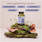 The Herbtender DOZE & DREAM with Reishi and Ashwagandha 60 Vegan Capsules image 3