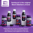 Sambucol Original Black Elderberry Formula 120ml image 5