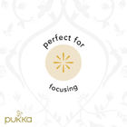 Pukka Tulsi Clarity 20 Tea Bags image 4