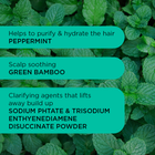 Noughty Detox Dynamo Clarifying Shampoo 250ml image 3