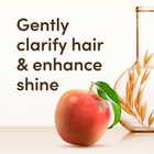 Aveeno Haircare Clarify And Shine+ Apple Cider Vinegar Shampoo 300ml image 2
