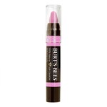 Burt’s Bees Carolina Coast Matte Lip Crayon 3.11g