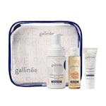 Gallinée The Discovery Set