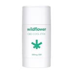 Wildflower CBD Cool Stick 75ml