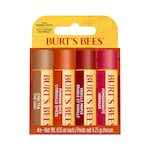 Burt's Bees Fall Lip Balm 4 Pack