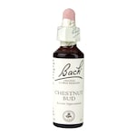 Bach Original Flower Remedies Chestnut Bud 20ml