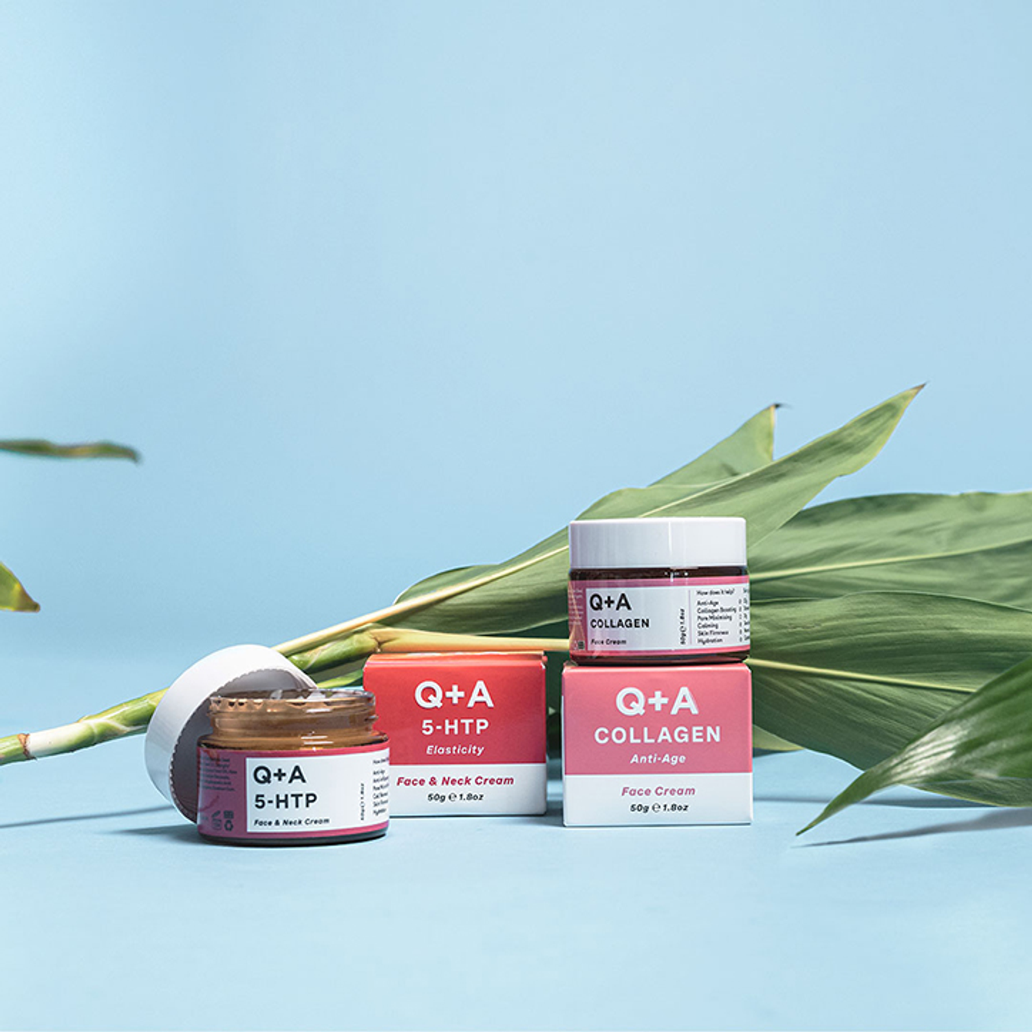 Q+A Collagen Face Cream 50g Holland & Barrett