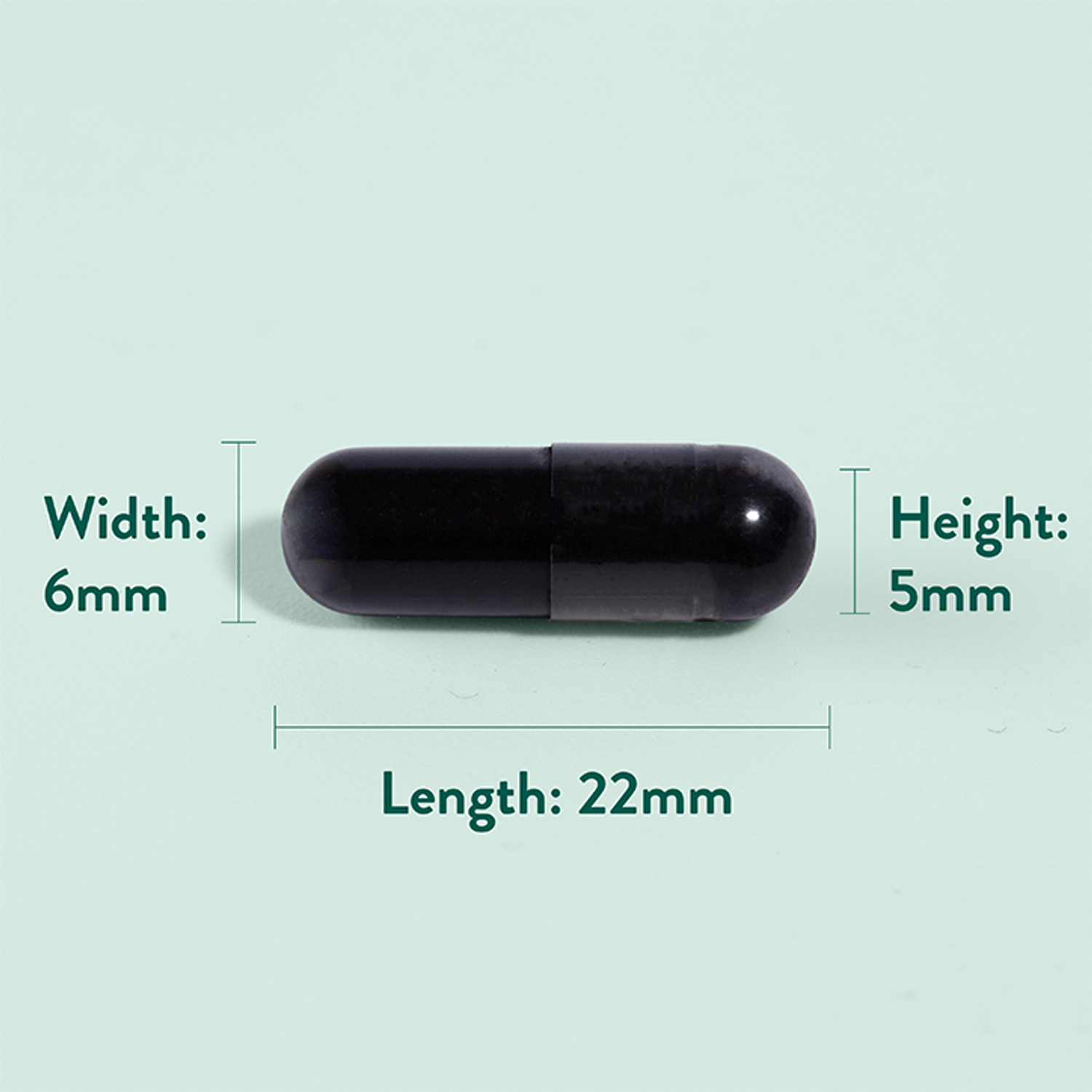 H&B Charcoal Capsules Holland & Barrett