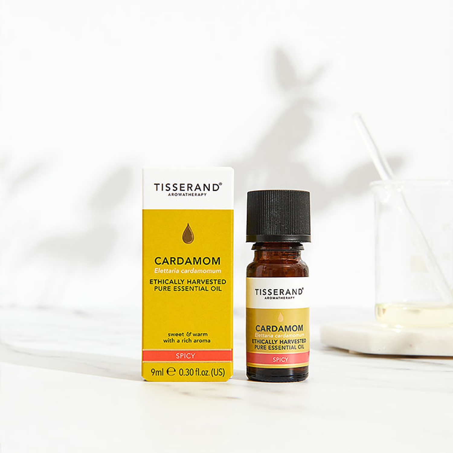 Cardamom Essential Oil Holland & Barrett