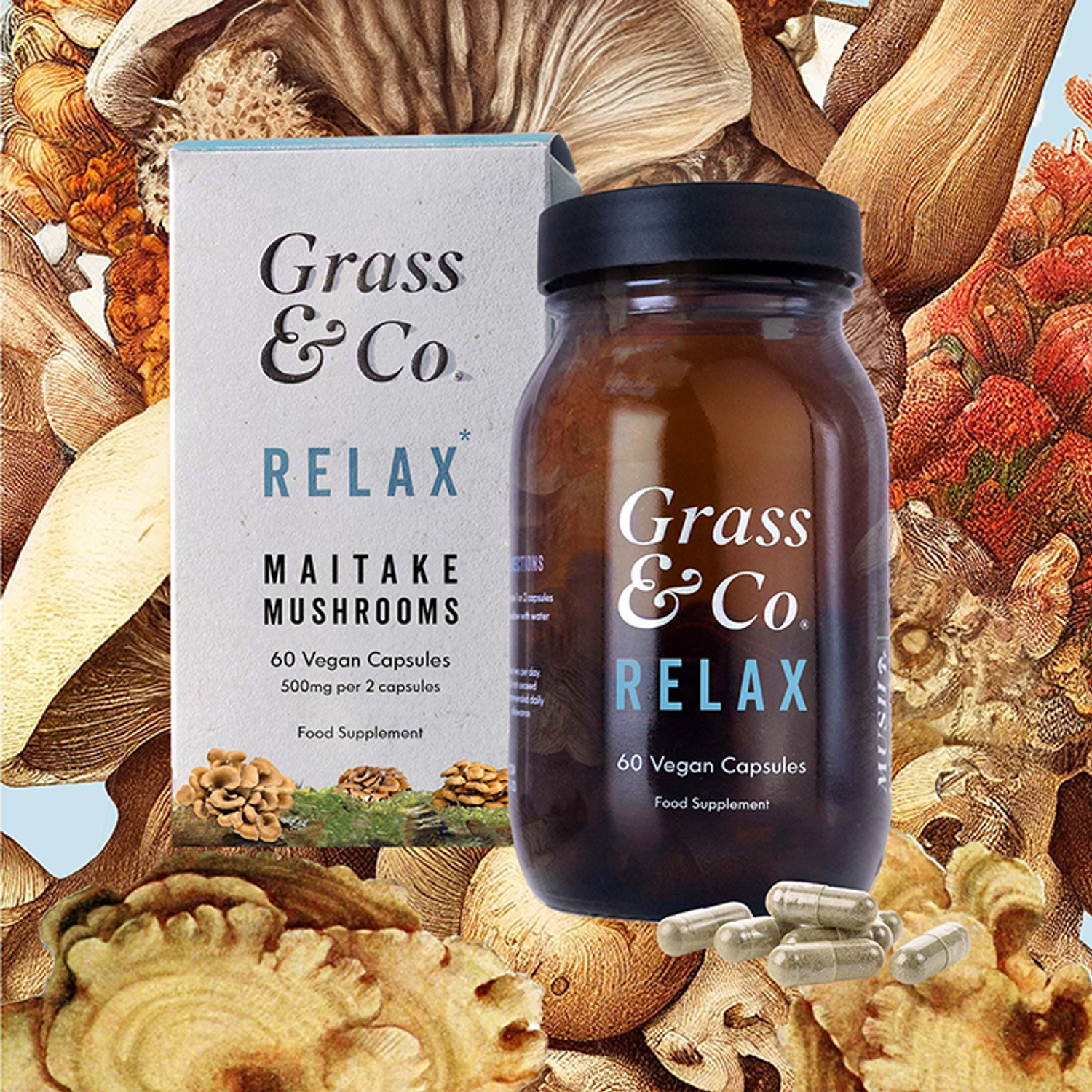 Grass & Co. RELAX Maitake Mushrooms with Ashwagandha + Magnesium Vegan
