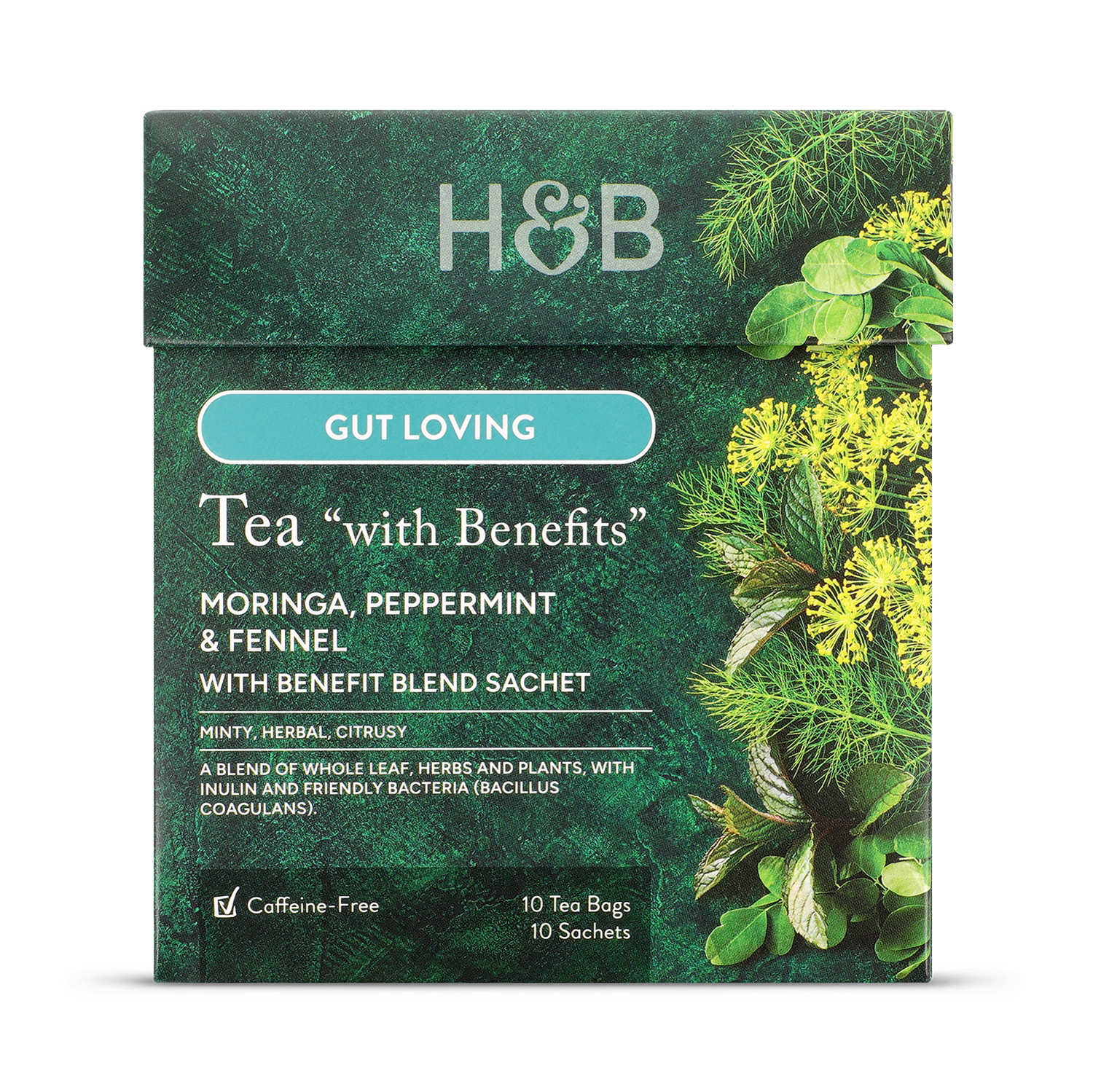 Holland & Barrett Gut Health Tea 10 Tea Bags