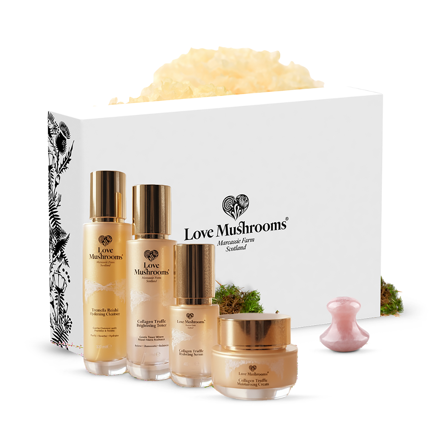 Love Mushrooms Collagen Truffle Gift Set