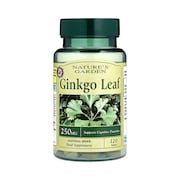 Good n Natural Ginkgo Leaf 120 Tablets 250mg