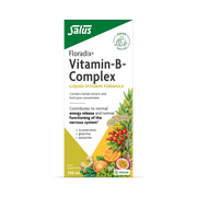 Floradix Vitamin-B Complex Liquid Vitamin Formula 250ml
