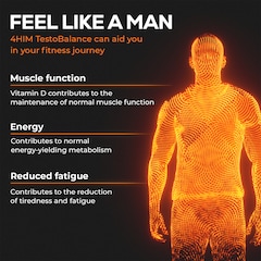 Image 4 for 4Him Testobalance Testosterone Supplements For Men 60 Vegan Tablets