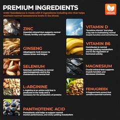 Image 5 for 4Him Testobalance Testosterone Supplements For Men 60 Vegan Tablets