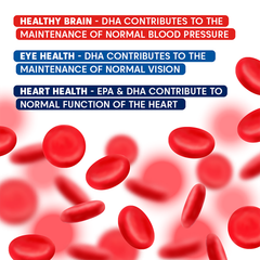 Image 5 for Blood Pressure Formula 60 Capsules