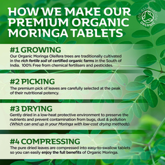 Image 5 for Organic Moringa Tablets – 180 Tablets