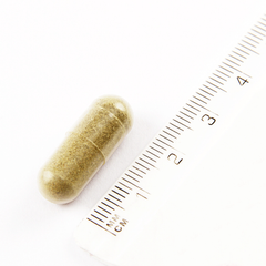 Image 2 for Natures Garden Milk Thistle 30 Capsules