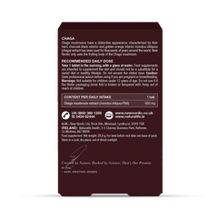 Image 2 for Chaga 30 Tablets