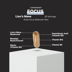 Image 5 for Lion's Mane Capsules10,000mg 60 Capsules