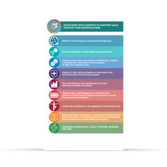 Image 2 for Male Fertility 60 Capsules