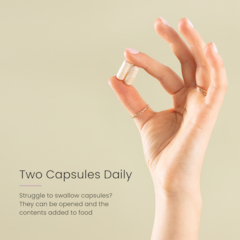 Image 4 for PROCEIVE® Women Advanced Fertility Supplement 60 Capsules