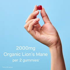 Image 3 for Trip Lion's Mane Gummies 2000mg 60 Gummies