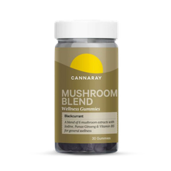 Image 1 for Mushroom Blend Blackcurrant Flavour 30 Gummies