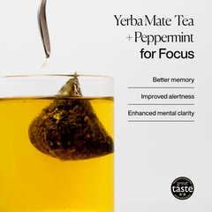 Image 2 for Focus Yerba Mate Tea (Peppermint & Liquorice) 15 Tea Bags