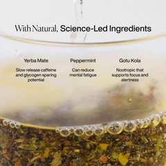 Image 3 for Focus Yerba Mate Tea (Peppermint & Liquorice) 15 Tea Bags