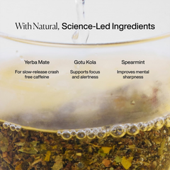 Image 3 for Perform Yerba Mate Tea (Lemongrass & Mint) 15 Tea Bags