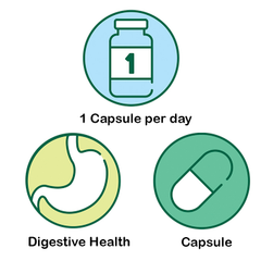 Image 3 for Ultra Maximum Acidophilus 60 Capsules