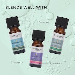 Image 5 for Peppermint Organic Pure Essential Oil 9ml