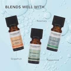 Image 5 for Eucalyptus Organic Pure Essential Oil 9ml