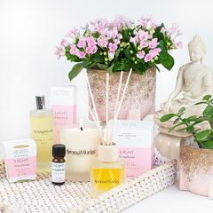 Image 5 for Basil & Lime Reed Diffuser 100ml