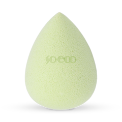 Complexion Sponge